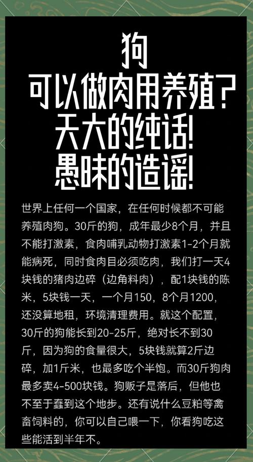 可以天天喂狗狗吃鸡肉或猪肉吗