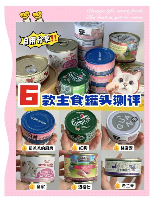 有哪些国产的猫咪罐头品牌分享?