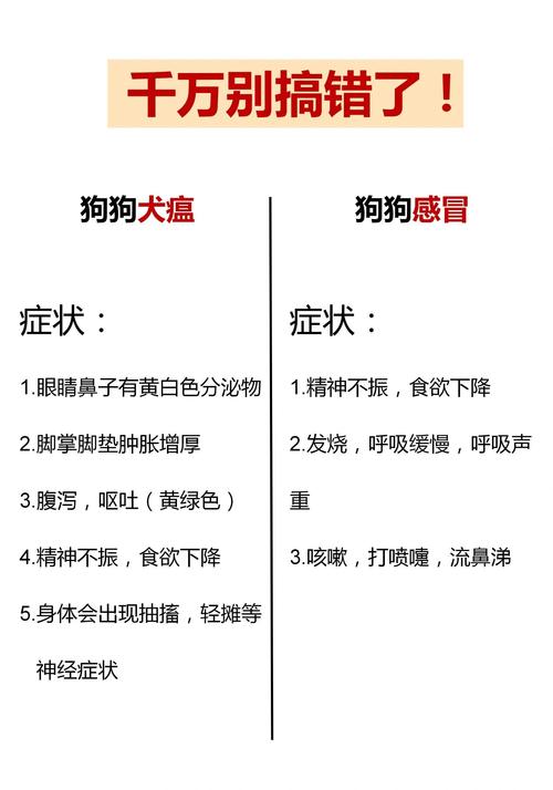 如何判断狗狗发烧