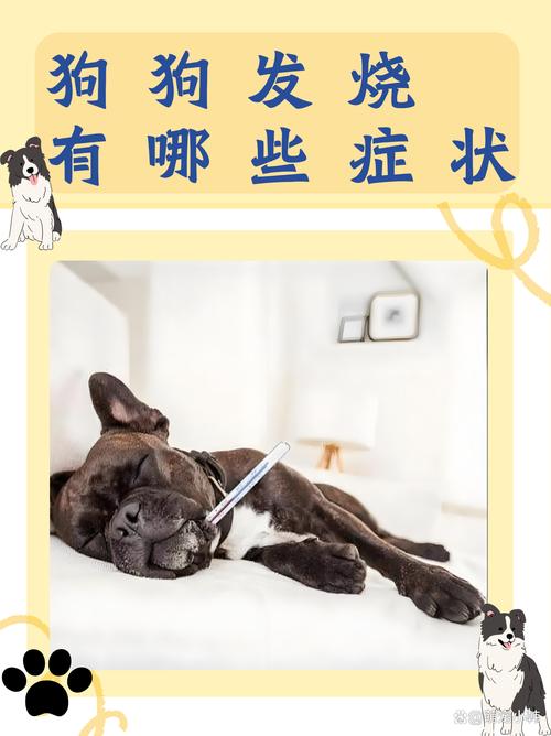 狗狗发烧了会是一种什么样的状态