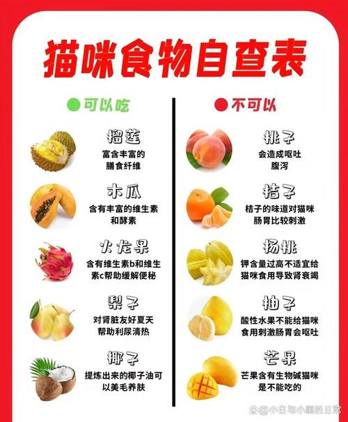 猫能吃柚子吗,5个月大了?