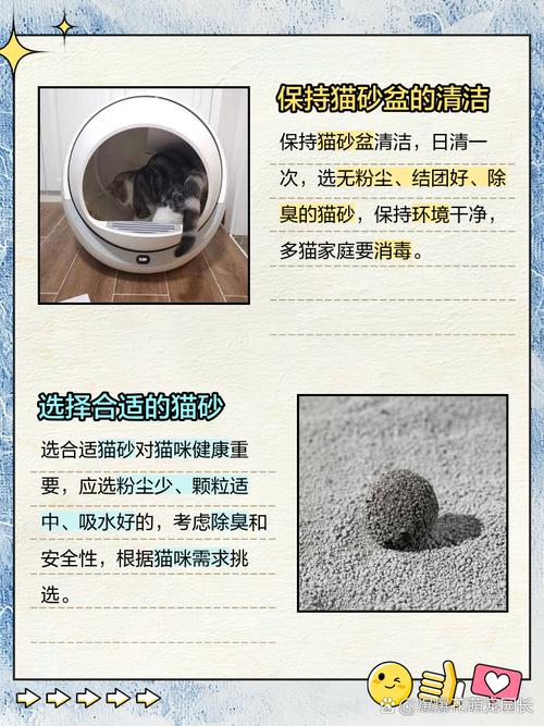 猫咪没猫砂怎么处理
