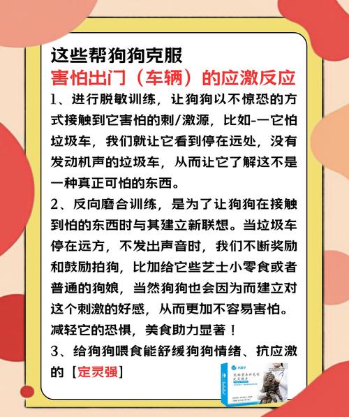 害怕狗不敢出门怎么办