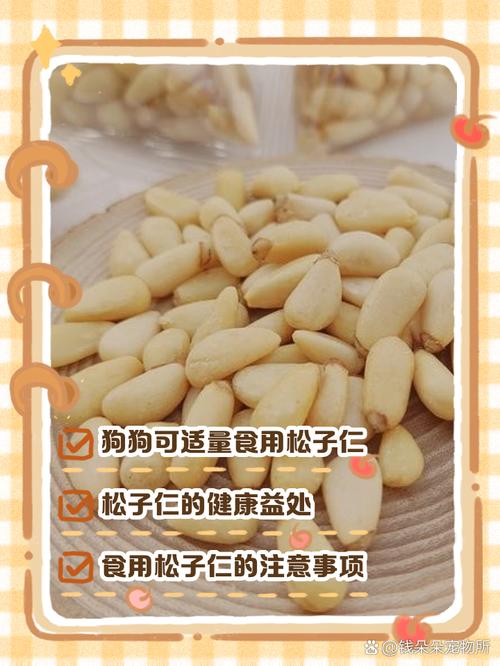 狗能不能吃松子坚果类食物对狗狗来说都不合适!