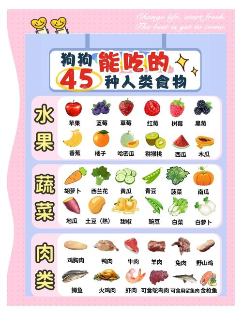 狗狗可以吃芝麻不