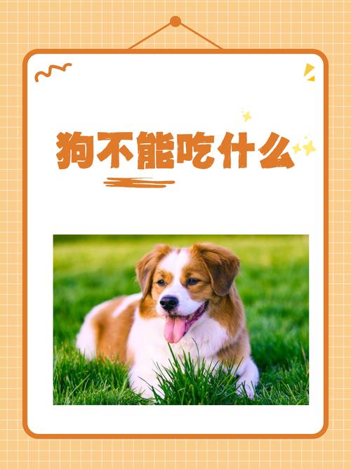 狗狗能吃芝麻吗