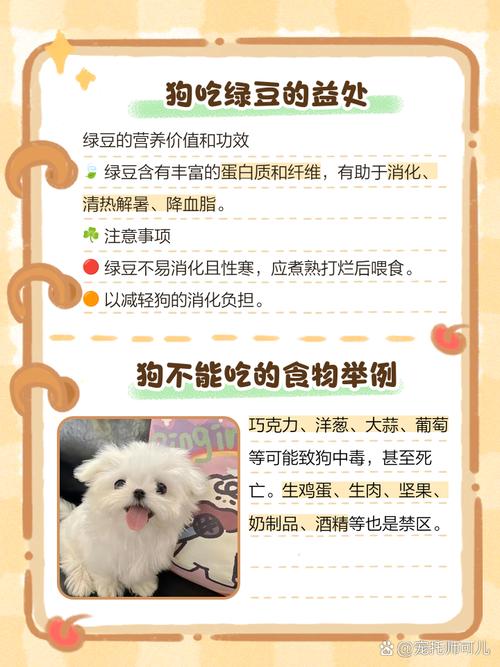 狗可以吃绿豆粥吗