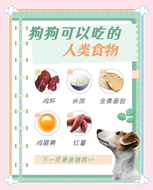 狗狗能吃绿豆粥吗?
