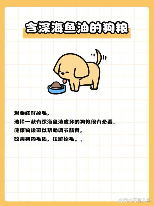 狗狗吃这些食物,可以缓解掉毛!