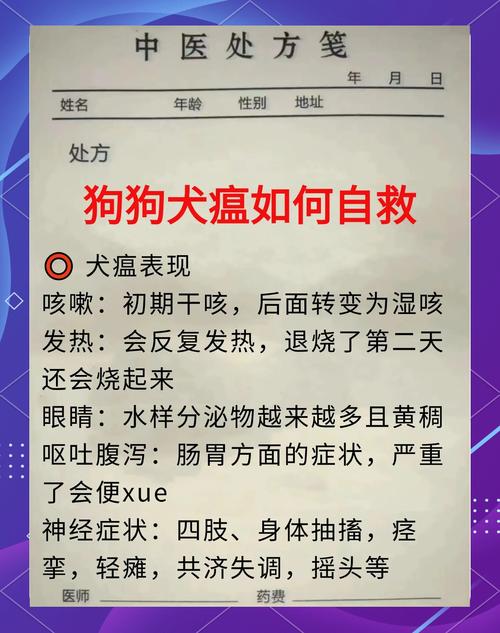 狗狗得了犬瘟犬瘟能治好吗