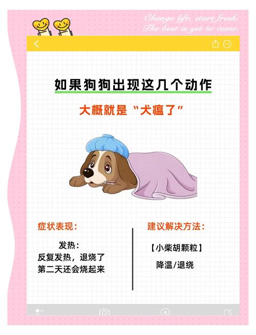 狗狗得了犬瘟热,怎么办?