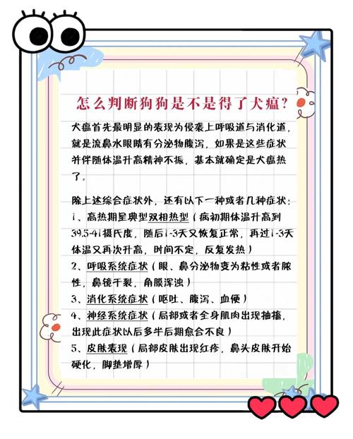 狗狗得了犬瘟热怎么办