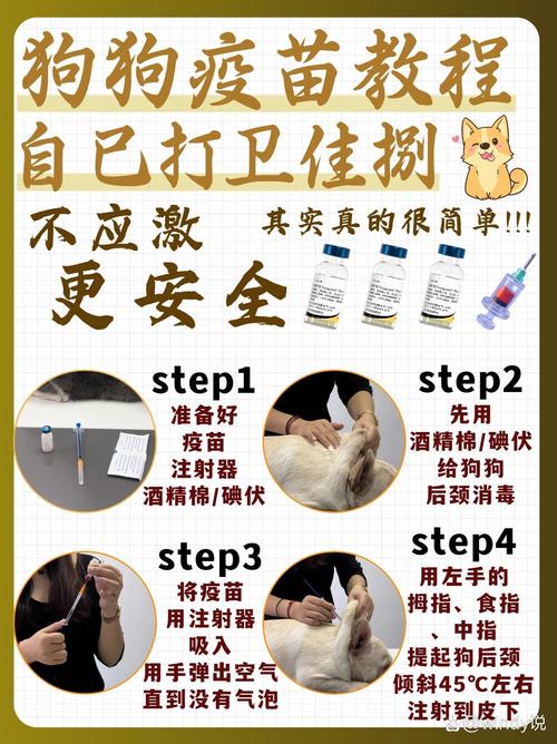 如何自己给狗狗打疫苗