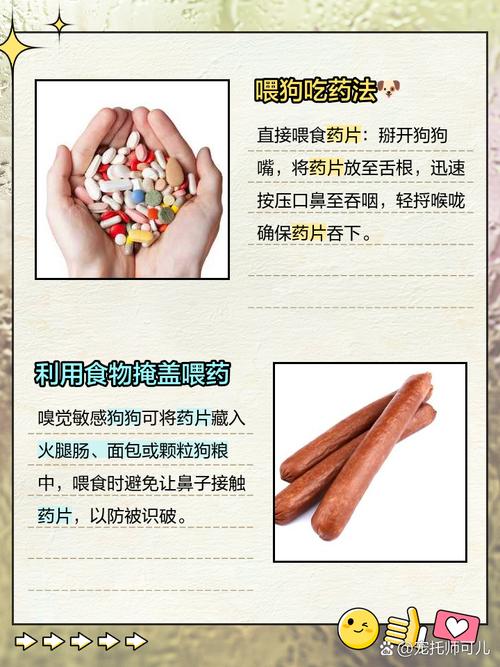 狗狗兽药吡喹酮喂法