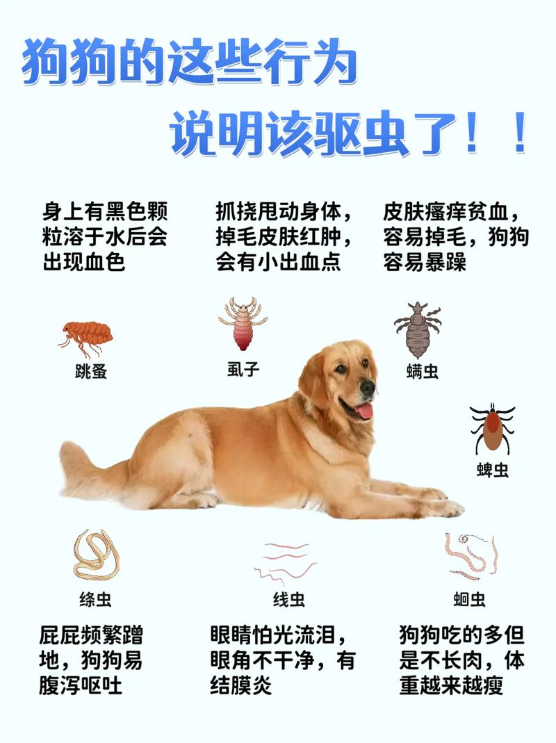 狗狗几个月体内体外驱虫一次好?