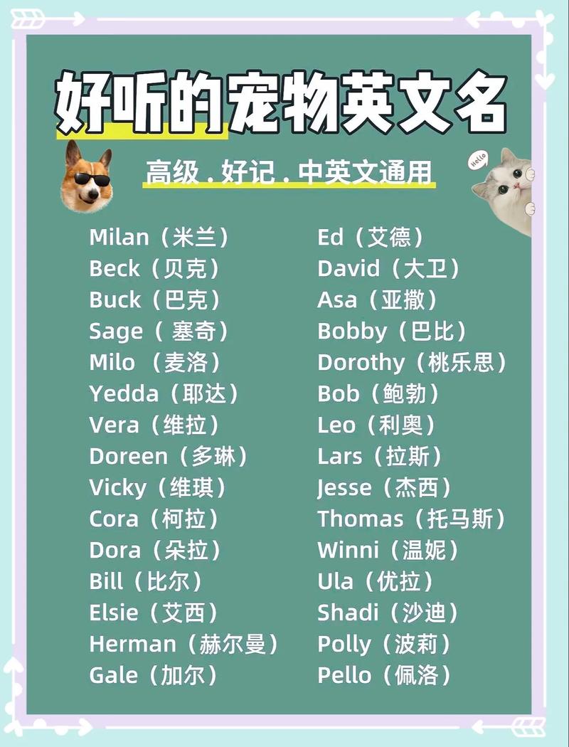 独一无二的狗狗名字英文名