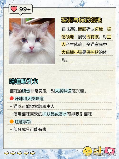 猫咪舔主人是什么意思