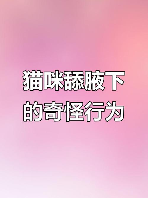 猫为什么舔主人手?