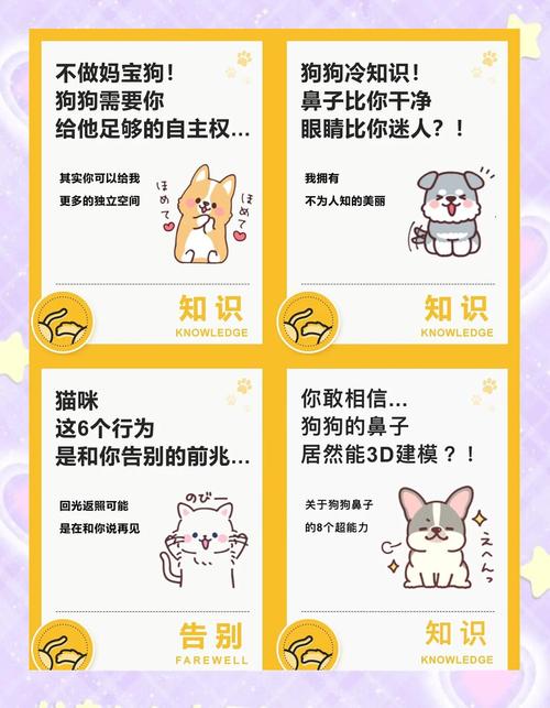 猫咪为什么疯狂舔主人脖子