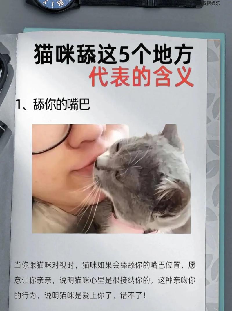 猫咪为什么老是舔主人脖子