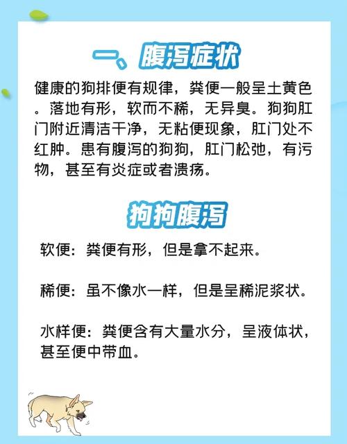 狗狗腹泻怎么办