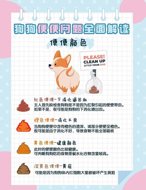 狗狗腹泻怎么办比较好?