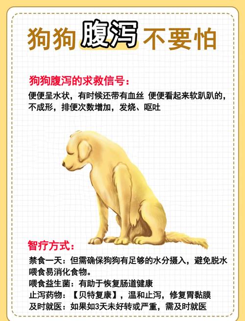 狗狗腹泻怎么办?