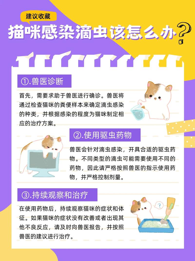 猫得滴虫应该怎么处理啊?