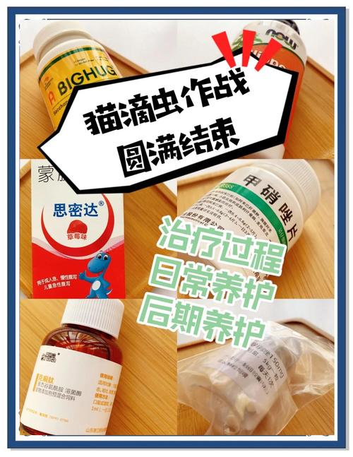 猫咪有滴虫是否不能根治