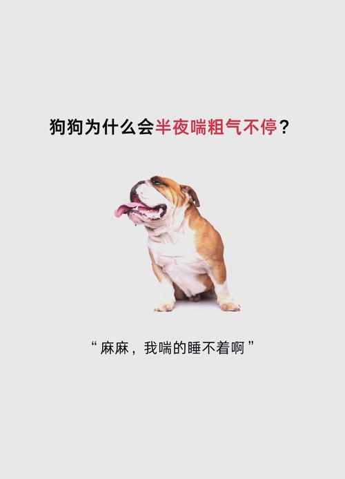 狗狗喘粗气还喝了好多水是怎么回事啊?