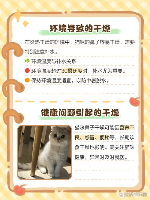 孟买猫鼻子不湿,是生病了还是就是这个样子的?