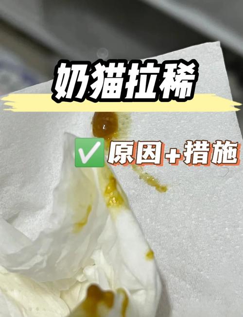 小猫咪拉肚子是什么原因?