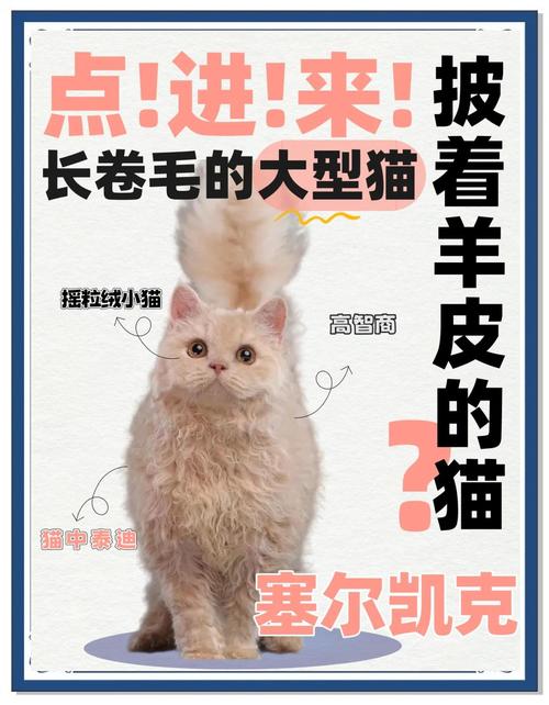 猫咪拉稀会自愈吗?
