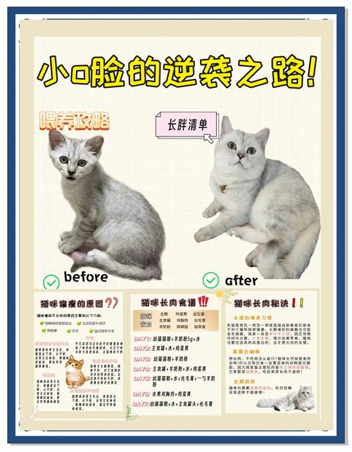 猫怎么发腮