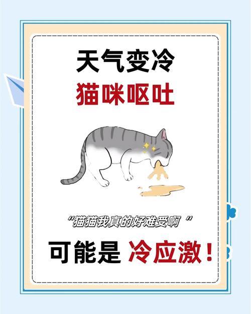 猫咪一般多少度觉得冷