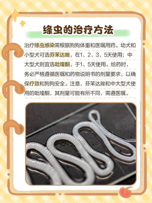 狗狗肚子里有虫子,怎么办?