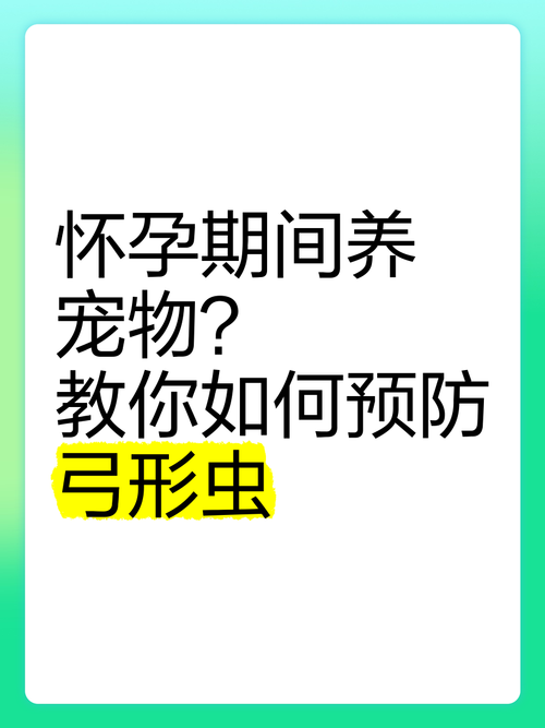 养狗怎么样预防弓形虫?