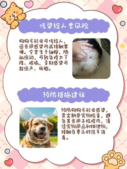 怎么样预防狗狗得弓形虫?