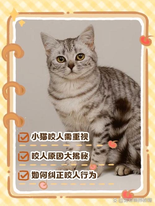 猫咪是从几个月开始换牙?