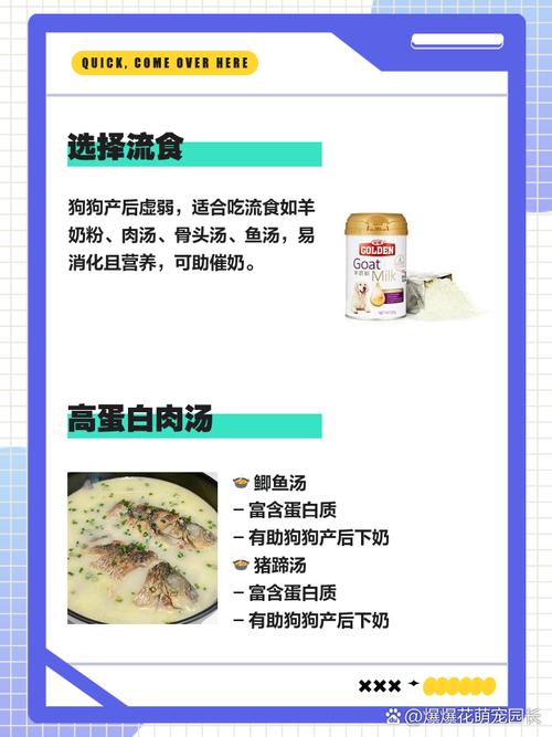 狗狗奶水不足吃什么下奶科学食疗催奶法