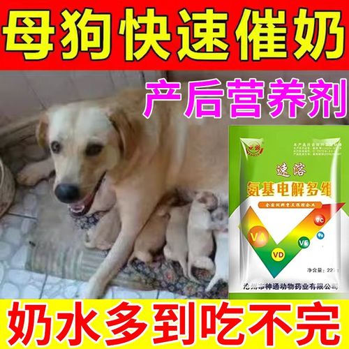狗吃什么催奶最快