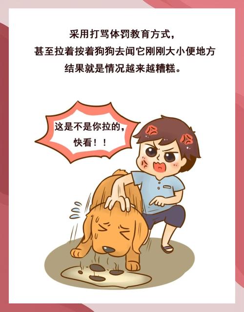 怎么教狗狗在外面大小便