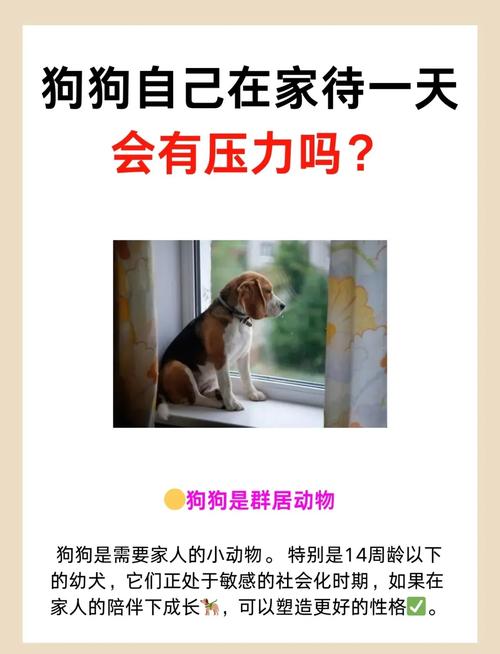 狗狗独自在家最长时间是多久?