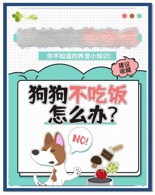 狗狗不吃饭只吃肉怎么办