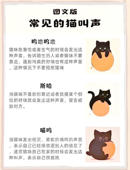 如何从猫咪的叫声中听出它们的情绪?