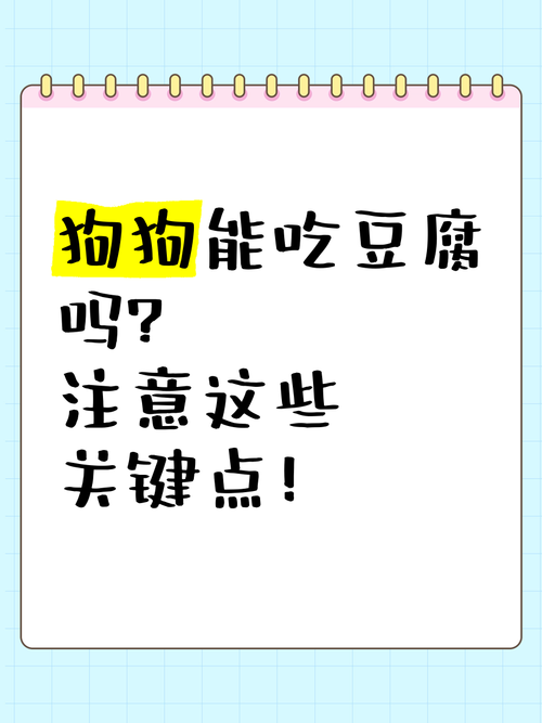 狗狗可以吃豆制品吗