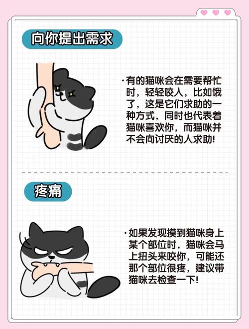 为什么猫咪会突然轻咬主人