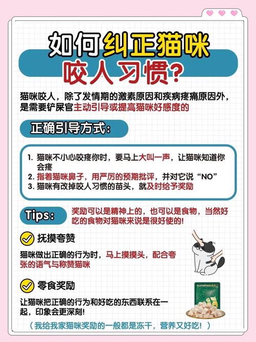 猫咪为什么会轻咬或舔舐主人的手?