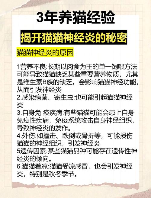 猫咪神经炎需要怎么进行治疗啊?
