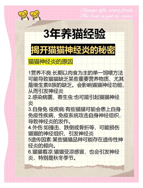 猫咪神经炎需要用什么药物进行治疗?